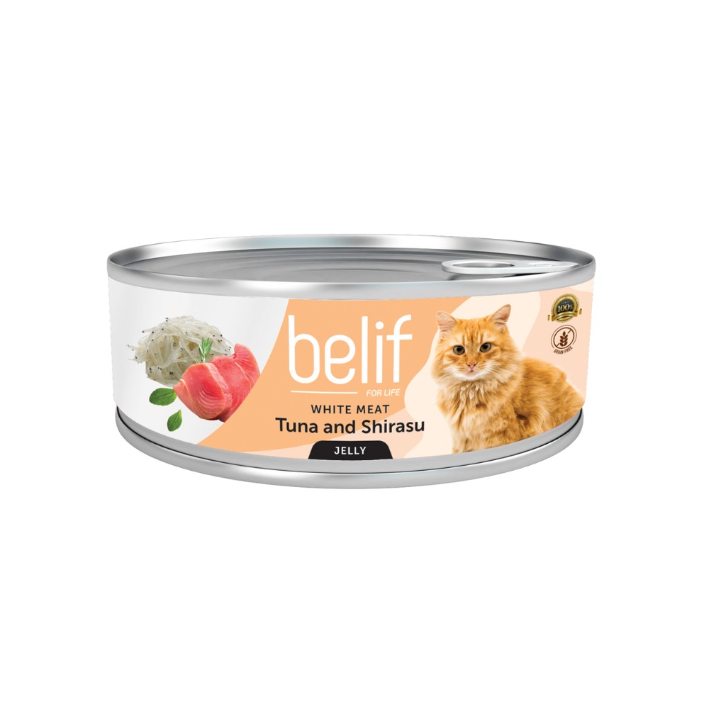 BELIF CAT 80G WET CAT FOOD IN JELLY image 4