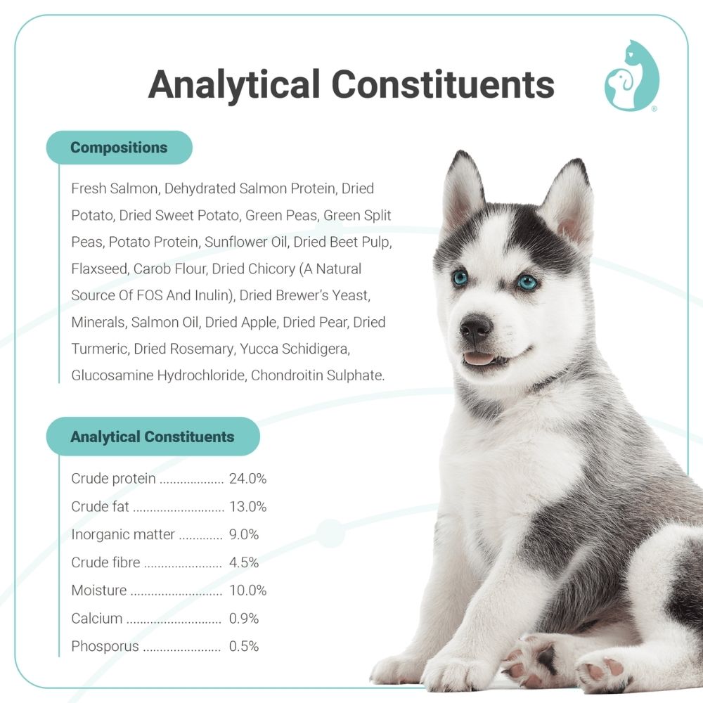 PET UNIVERSE NOURISH DOG VITALITY 4KG HYPOALLERGENIC AND SENSITIVE CARE WITH FRESH SALMON DRY DOG FOOD image 2