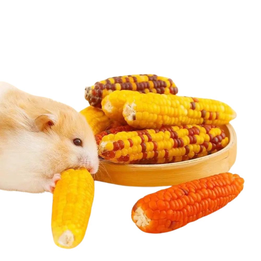 PTC HAMSTER CORN CHEW SNACK 1PCS image 2