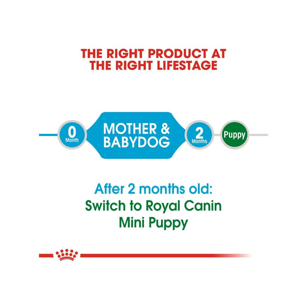 ROYAL CANIN MINI STARTER MOTHER & BABYDOG 4KG DRY DOG FOOD image 4