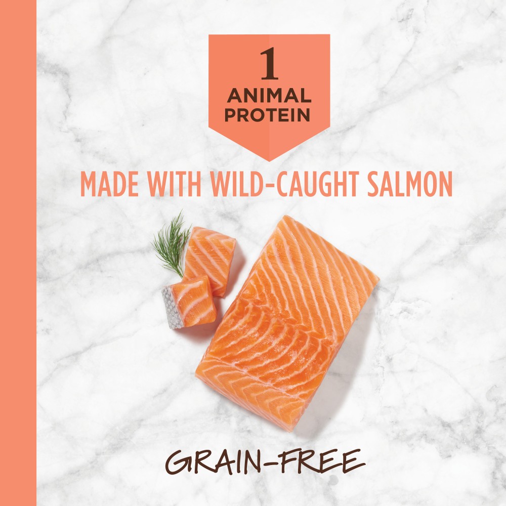 INSTINCT DOG LID 9KG (20LB) GRAIN FREE RECIPE WITH REAL SALMON DRY DOG FOOD image 4
