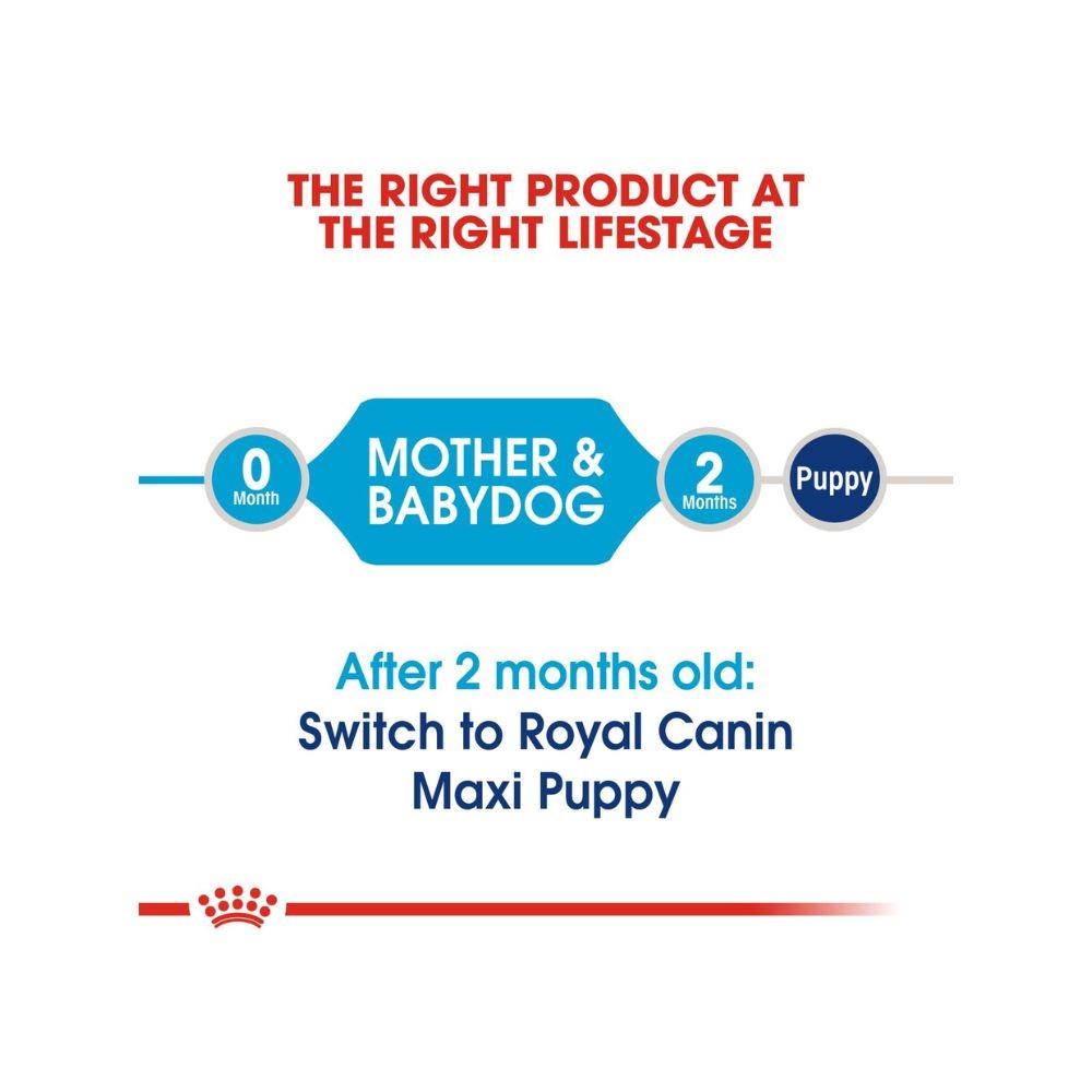 ROYAL CANIN MAXI STARTER MOTHER & BABYDOG 4KG DRY DOG FOOD image 5