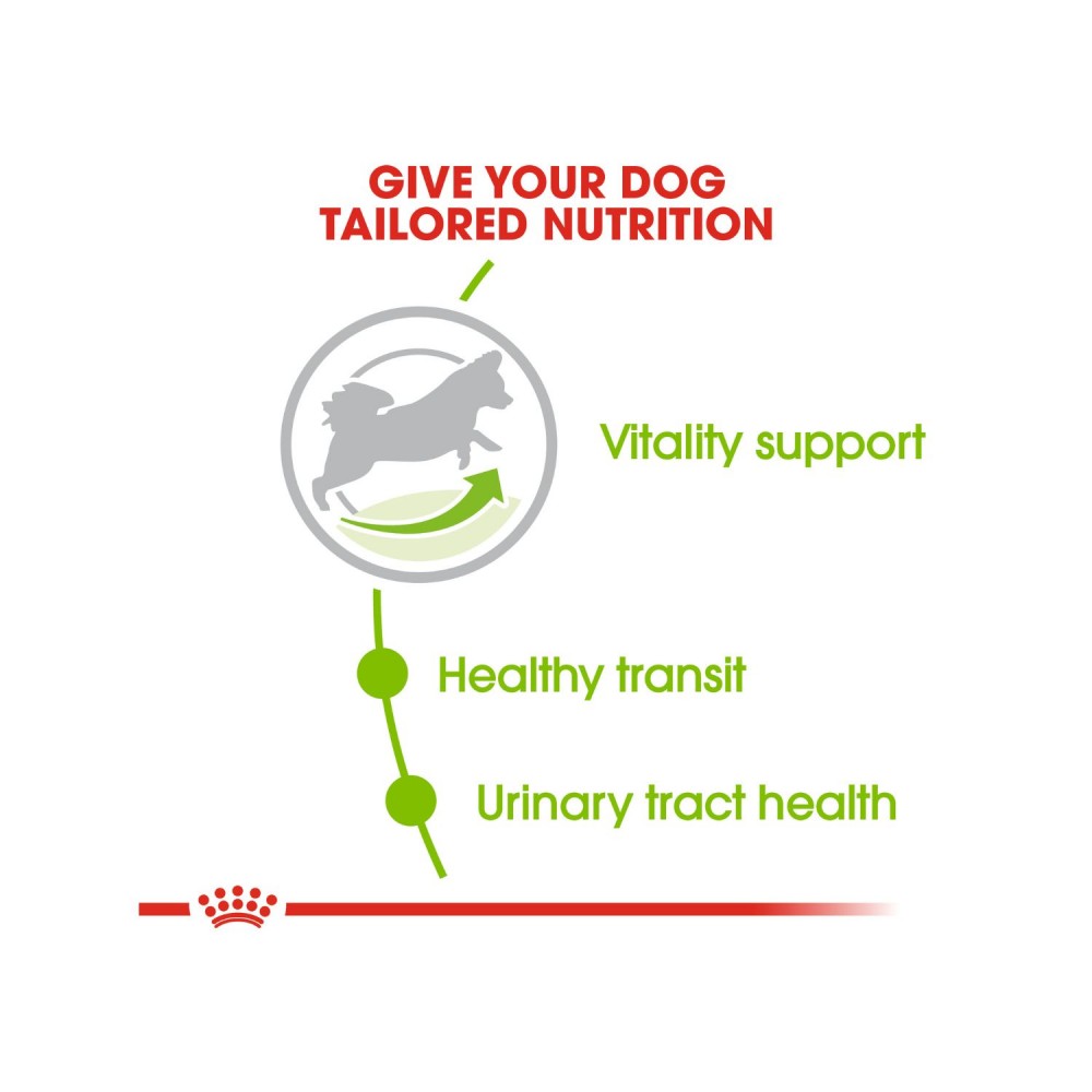 ROYAL CANIN XSMALL ADULT 8+ (1.5KG) DRY DOG FOOD image 3