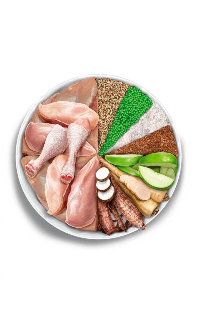 AMANOVA CAT 6KG ADULT EXQUISITE CHICKEN LOW GRAIN DRY CAT FOOD image 4