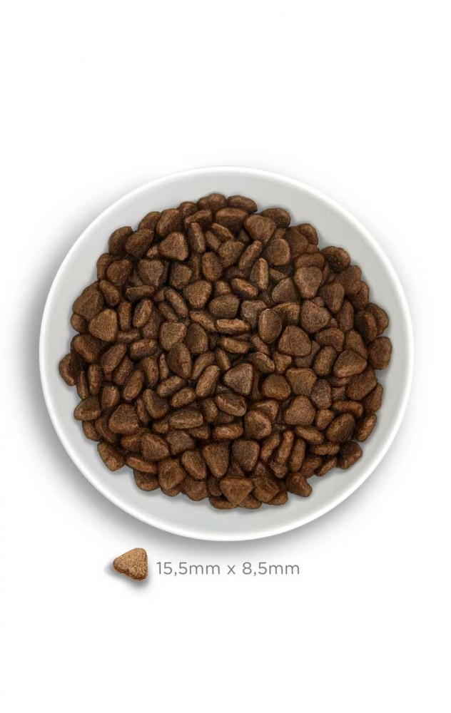 AMANOVA DOG 2KG ADULT SENSITIVE DELICIOUS LAMB DRY DOG FOOD image 3