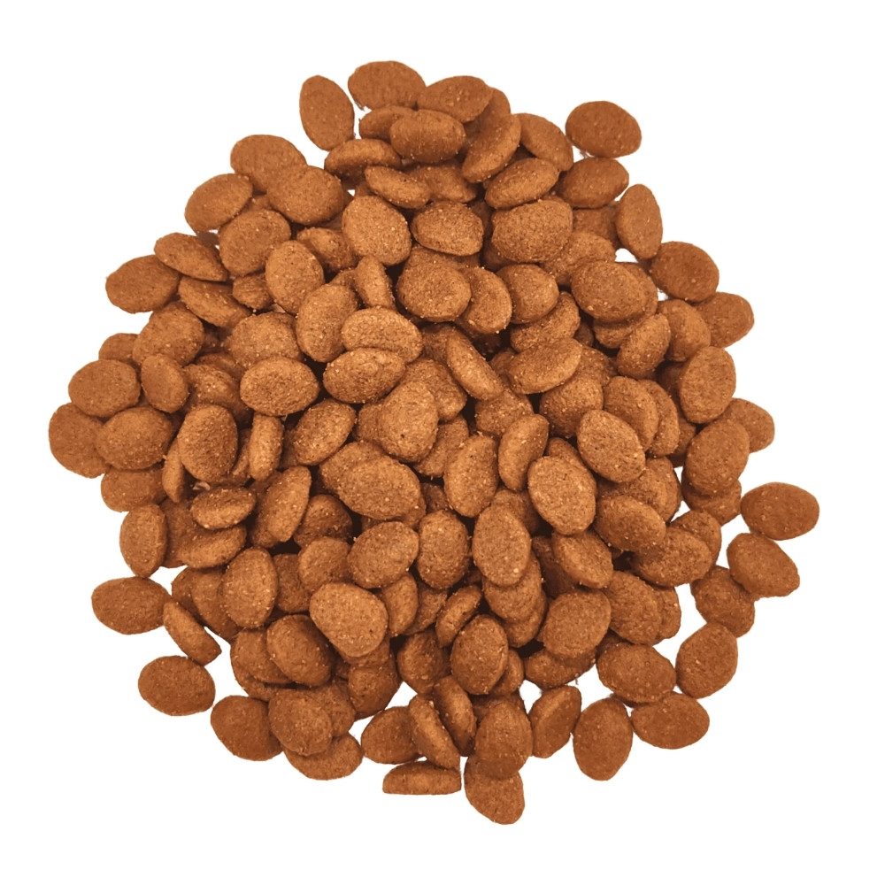 SARAR CAT 2KG ADULT SENSITIVE CARE LAMB DRY CAT FOOD image 2