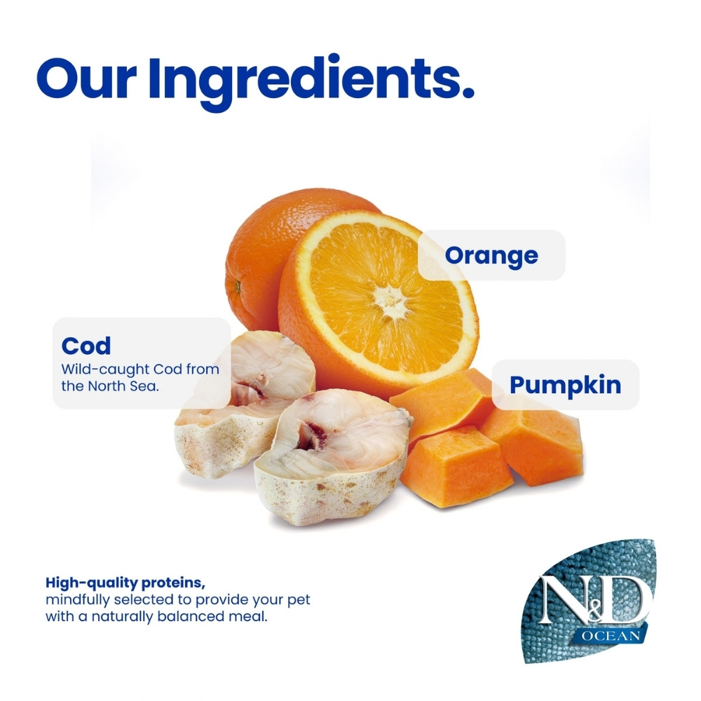 FARMINA N&D 2.5KG OCEAN CODFISH & ORANGE PUMPKIN ADULT MINI DRY DOG FOOD image 6