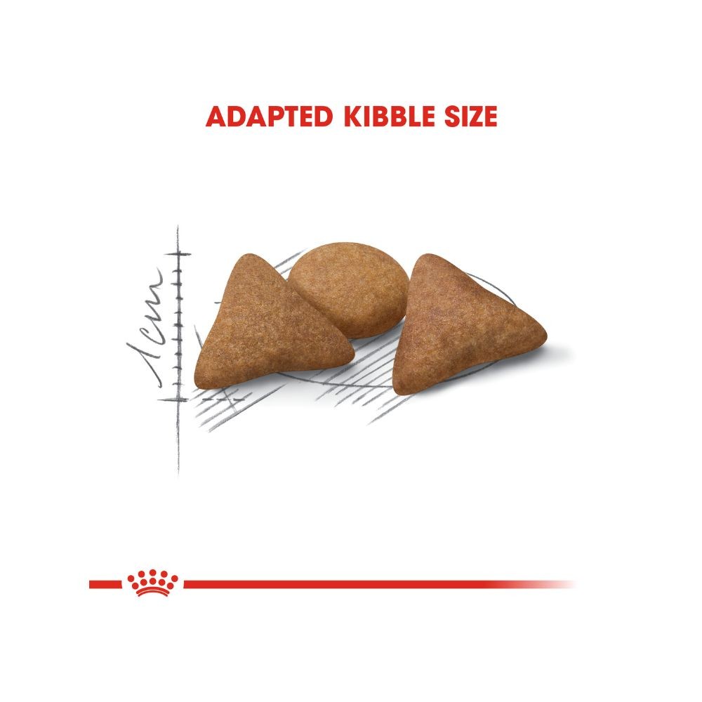 ROYAL CANIN INDOOR APPETITE CONTROL 2KG DRY CAT FOOD image 4