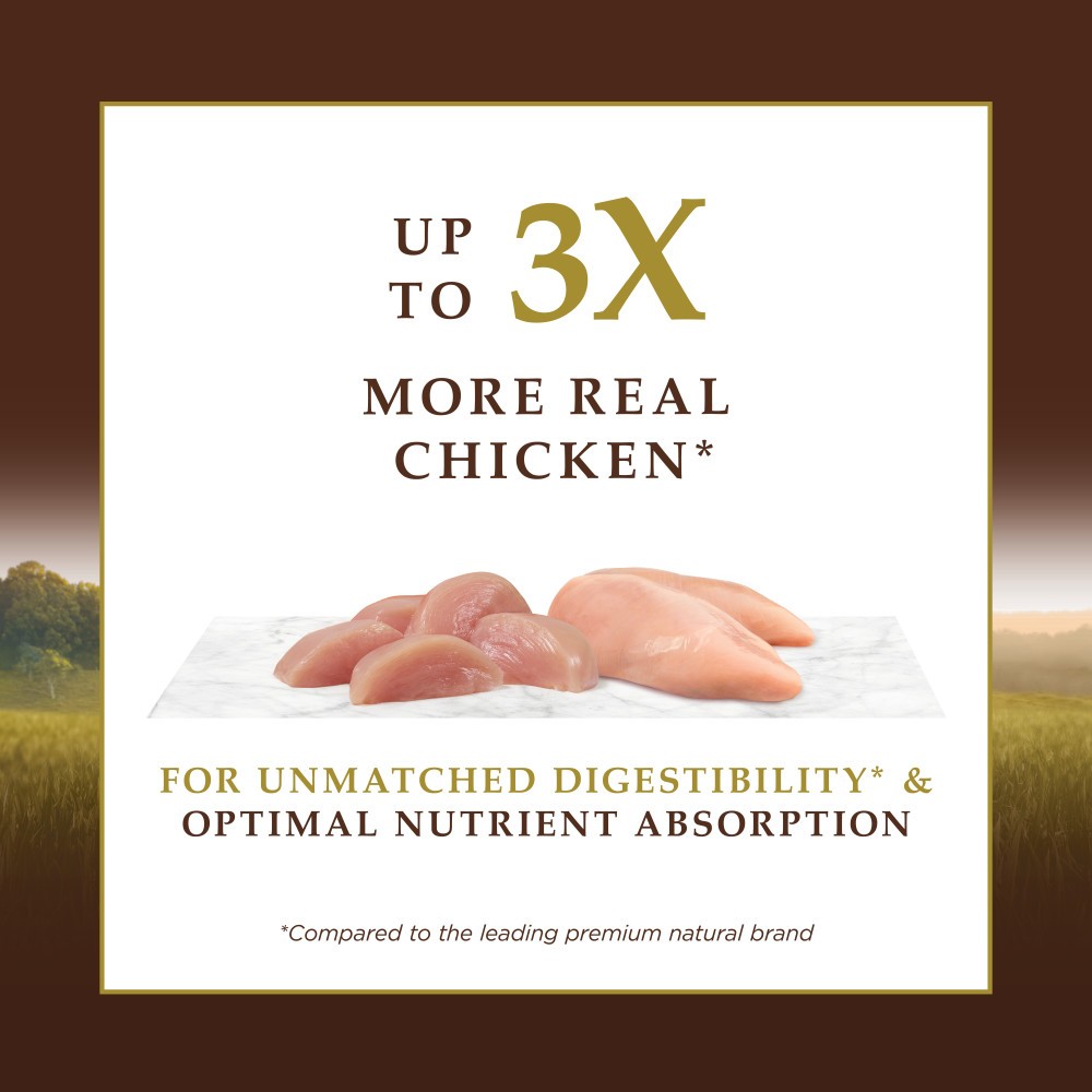INSTINCT CAT ULTIMATE PROTEIN 4.5KG (10LB) GRAIN FREE CAGE FREE CHICKEN RECIPE DRY CAT FOOD image 4