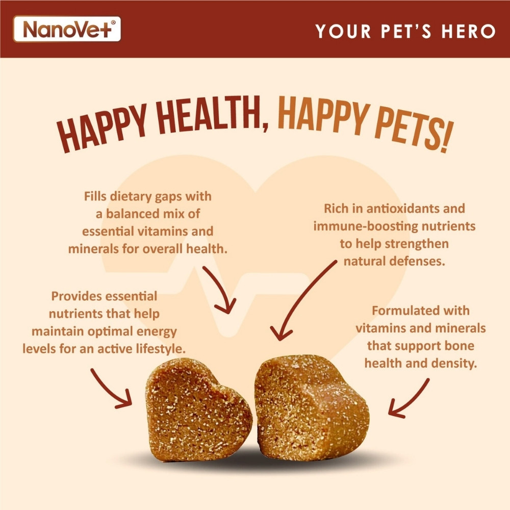 NANOVET MULTIVITAMIN CHEWS 120PCS image 7