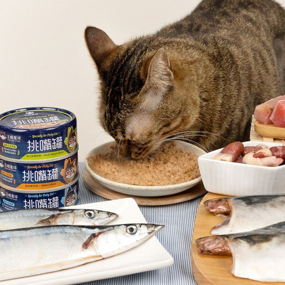 DOGCATSTAR FLAVOR EXIGENT 98% MEAT CANNED 165G BONITO, MACKEREL & CHICKEN WET CAT FOOD image 3