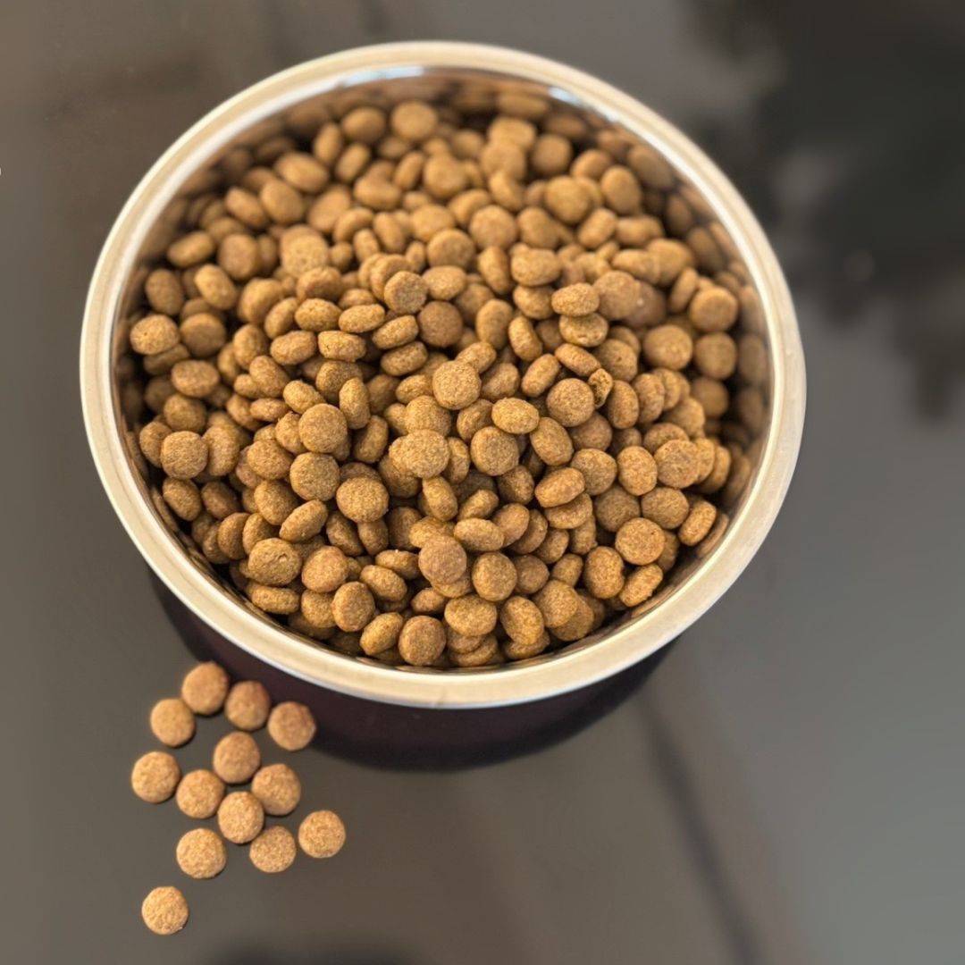 GUZING 10KG HEALTHY & BEAUTIFUL COAT DRY CAT FOOD image 3