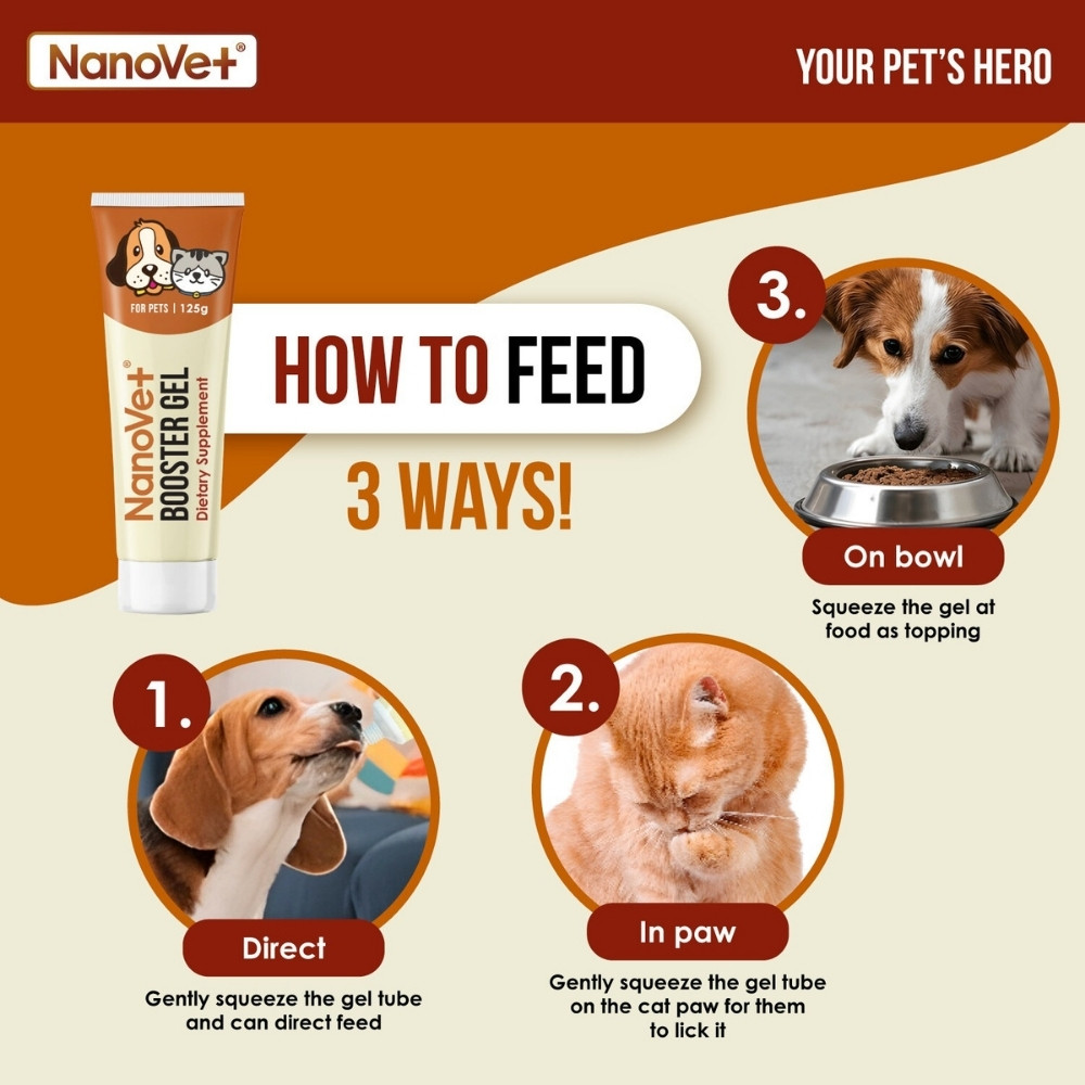 NANOVET BOOSTER GEL FOR PETS 125G image 2