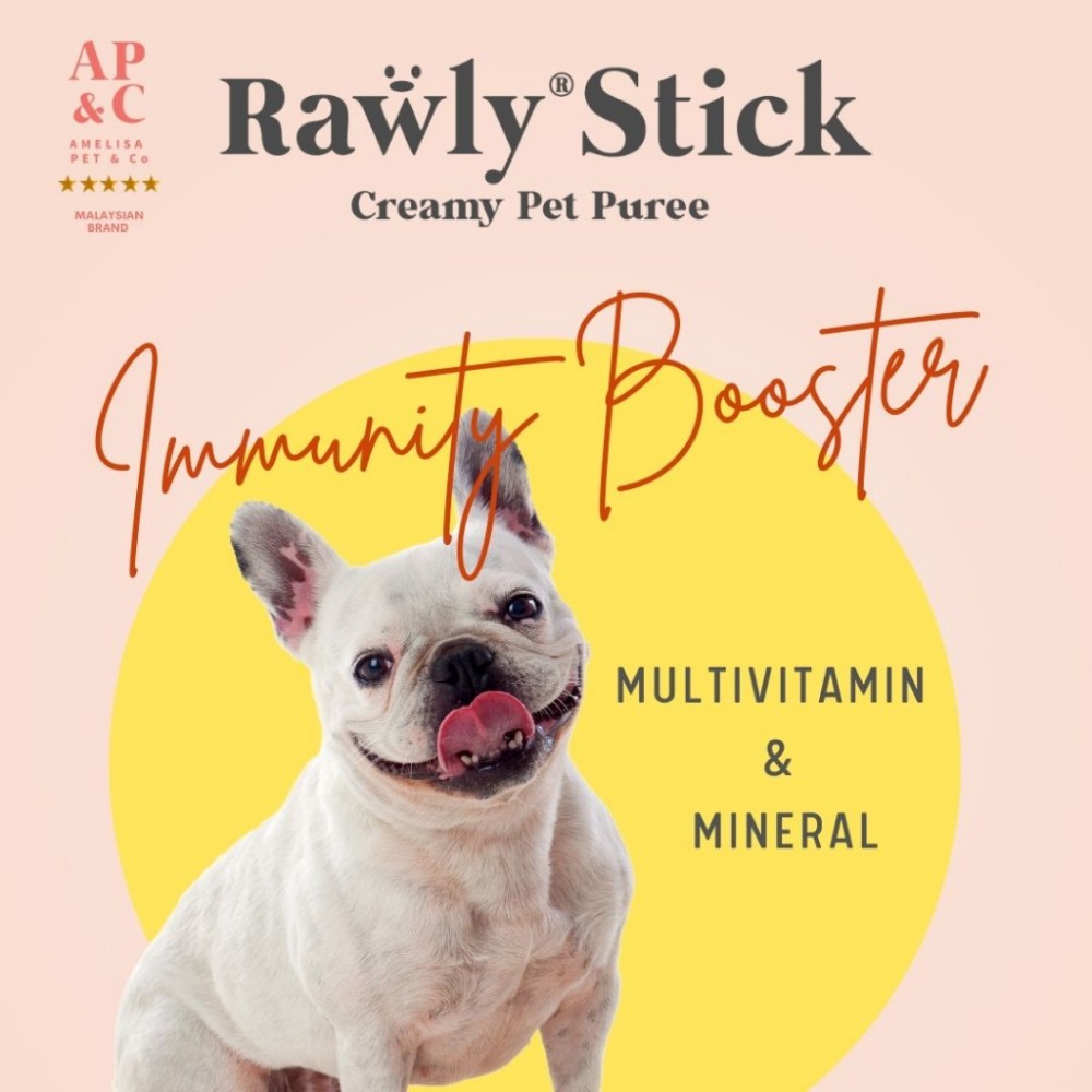 AMELISA RAWLY STICK 16GX4STICK DUCK & CARROT DOG & CAT LICK image 3