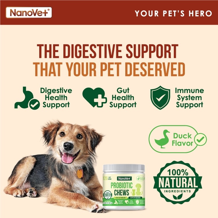 NANOVET PROBIOTIC CHEWS 45PCS image 6