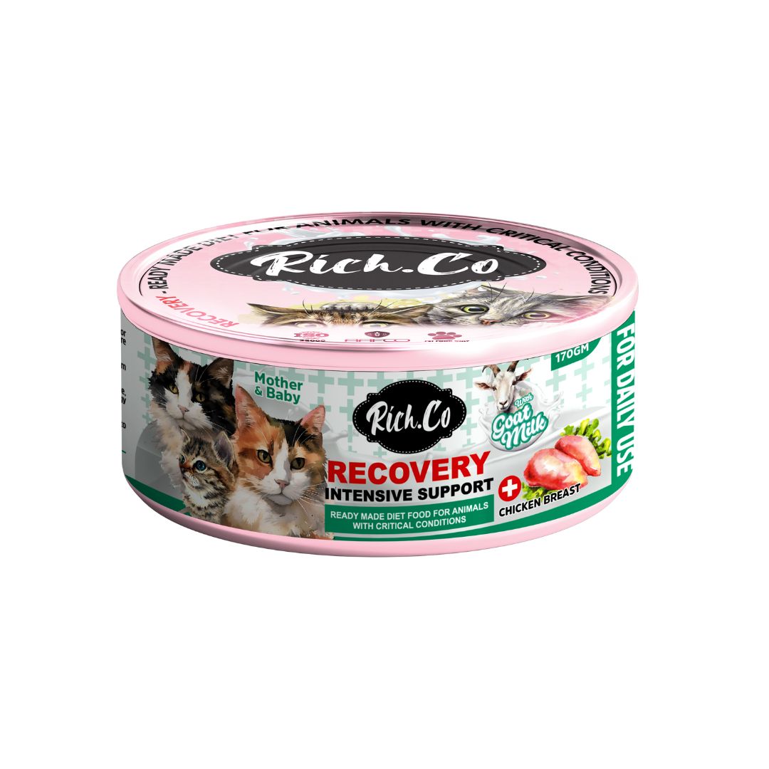 RICH.CO 170G RECOVERY INTENSIVE SUPPORT WET CAT FOOD image 4