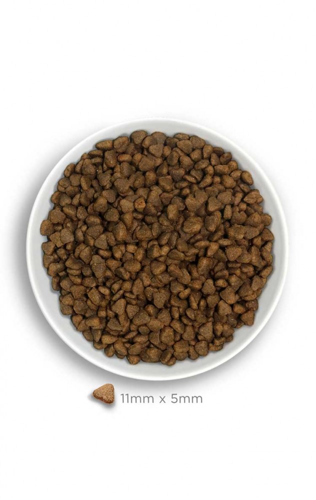 AMANOVA DOG 7KG ADULT SENSITIVE MINI SALMON & PUMPKIN DRY DOG FOOD image 3