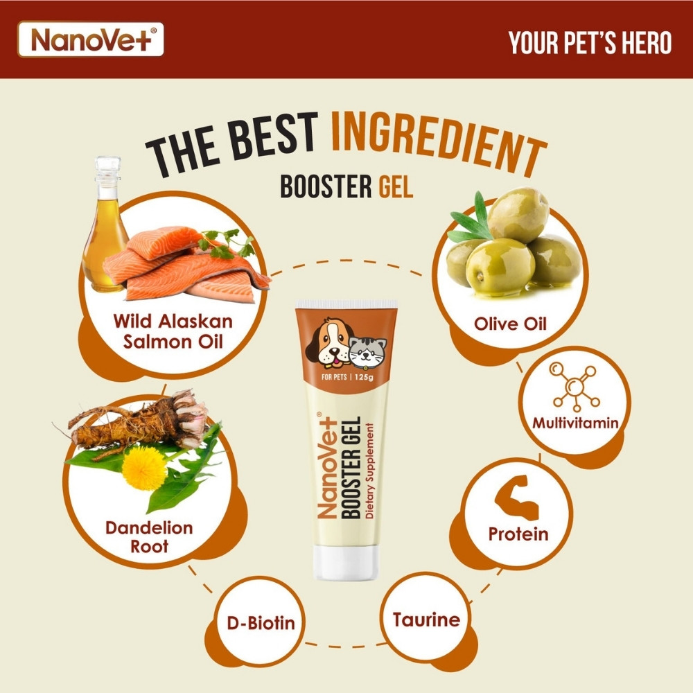 NANOVET BOOSTER GEL FOR PETS 125G image 3