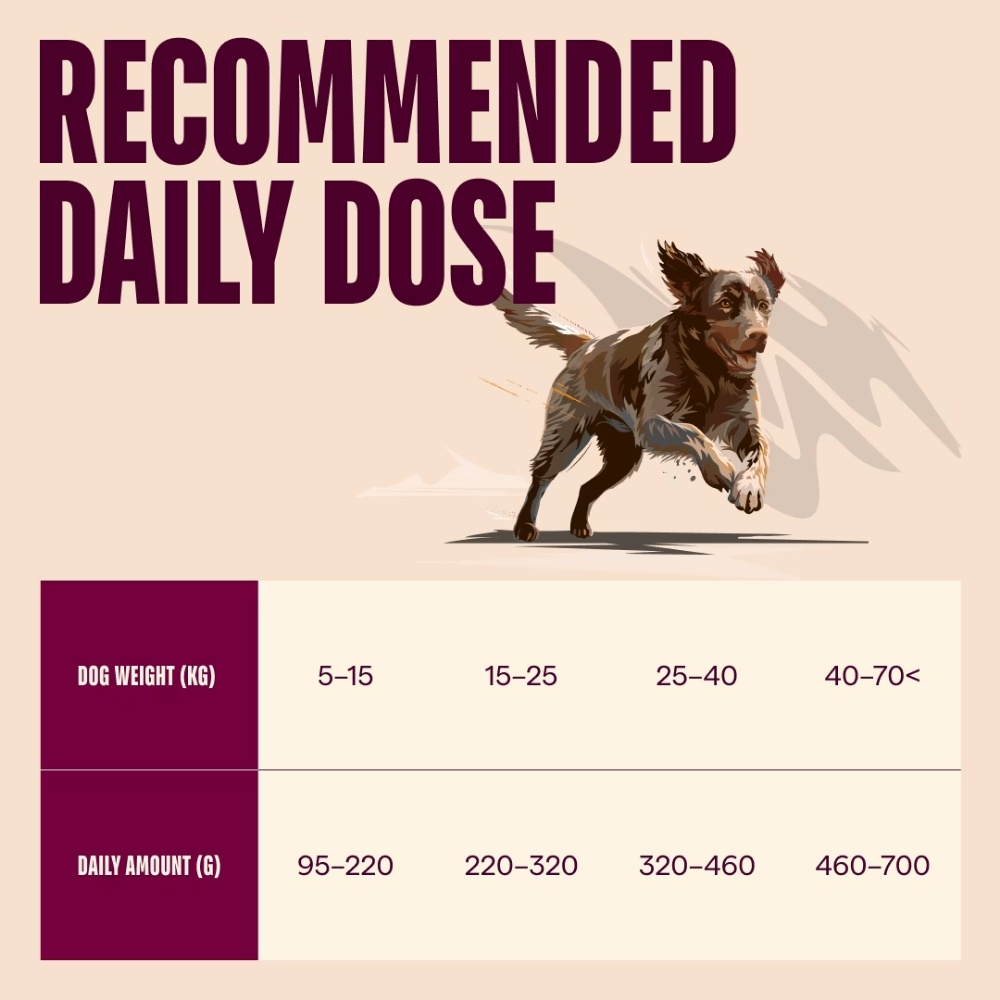 CARNILOVE DOG 4KG LAMB & WILD BOAR ADULT DRY DOG FOOD image 4