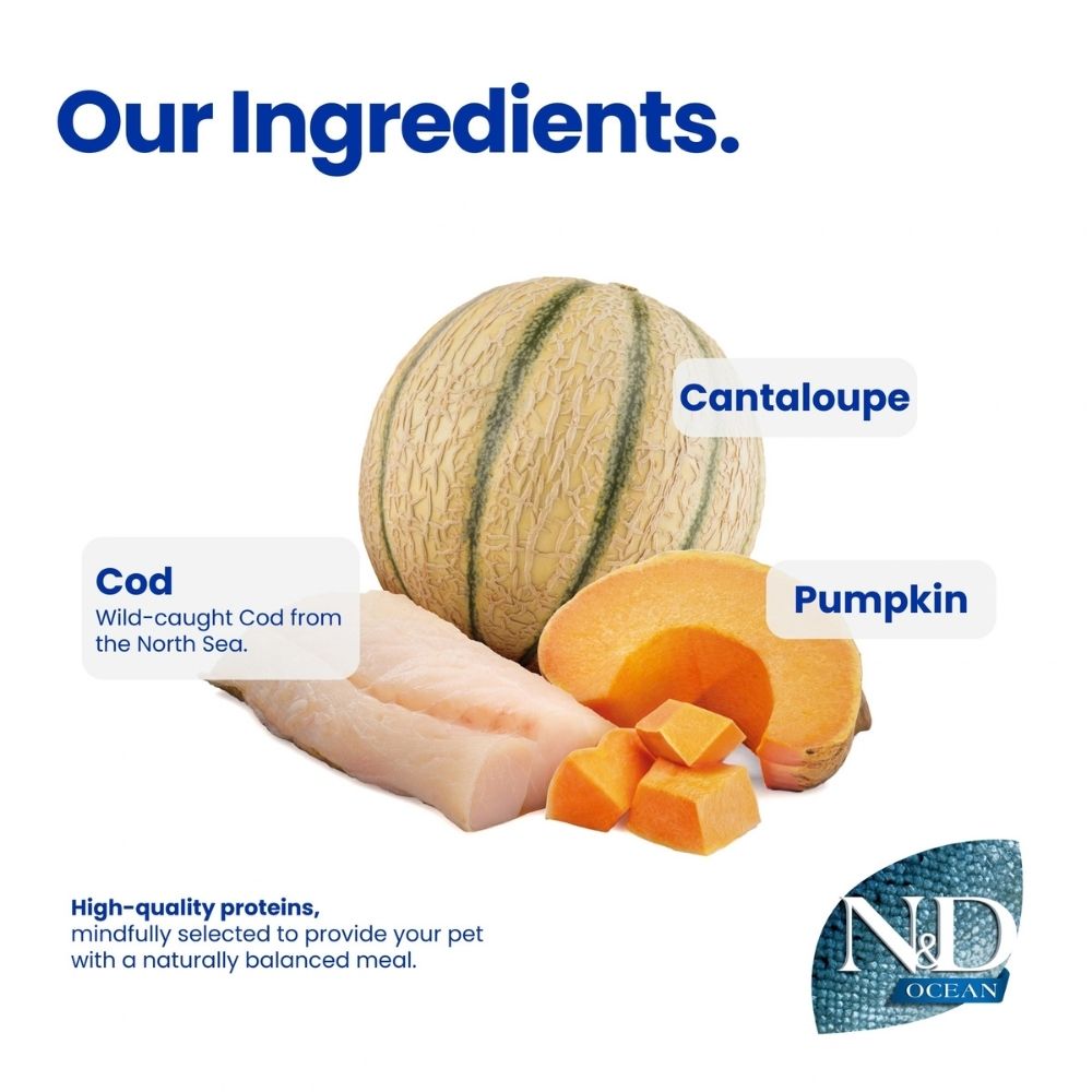 FARMINA N&D 2.5KG OCEAN CODFISH PUMPKIN CANTALOUPE PUPPY MINI DRY DOG FOOD image 6
