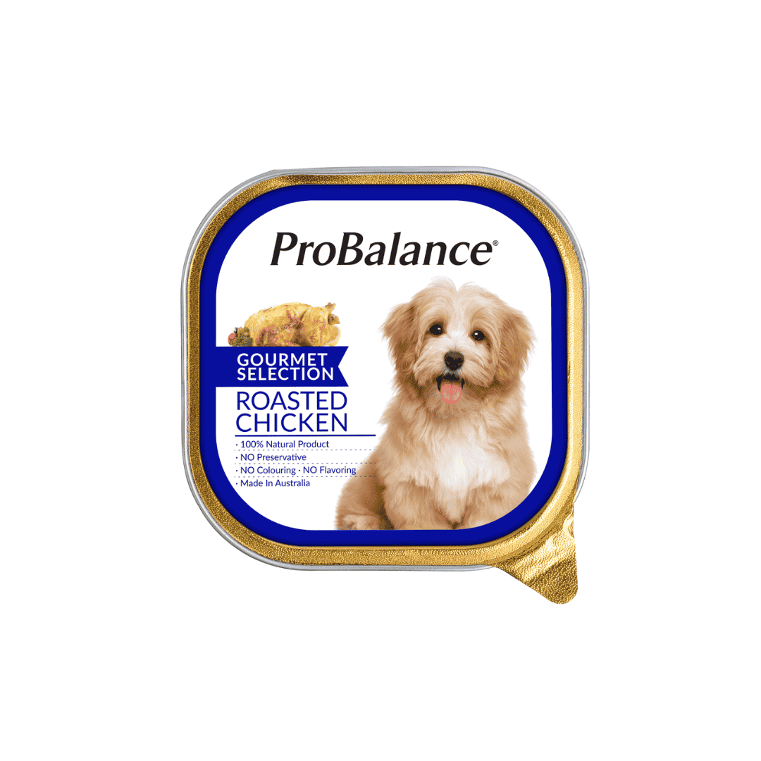 PROBALANCE GOURMET SELECTION 100G WET DOG FOOD image 3