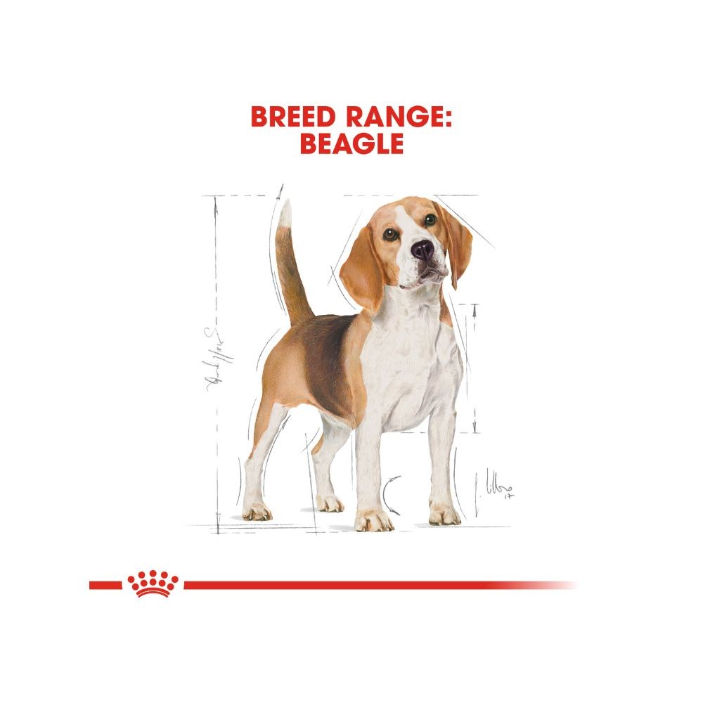 ROYAL CANIN BEAGLE ADULT 3KG DRY DOG FOOD image 7