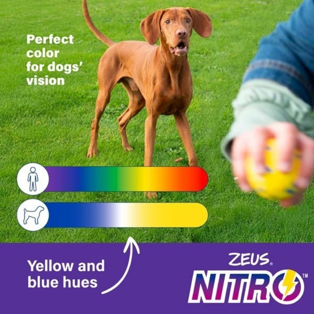 ZEUS DOG NITRO WEIGHTED BALL MEDIUM 6.3CM image 5