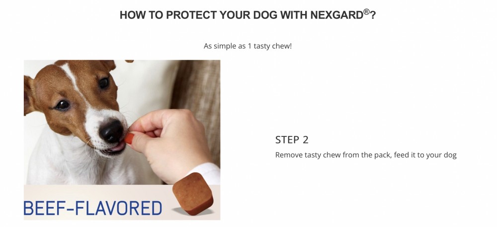 NEXGARD DOG M 6TABS (4KG-10KG) image 3