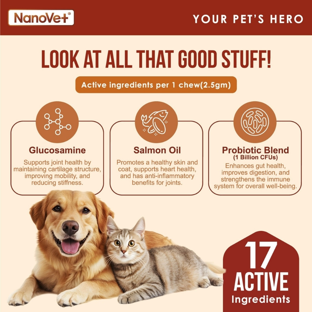NANOVET MULTIVITAMIN CHEWS 45PCS image 3