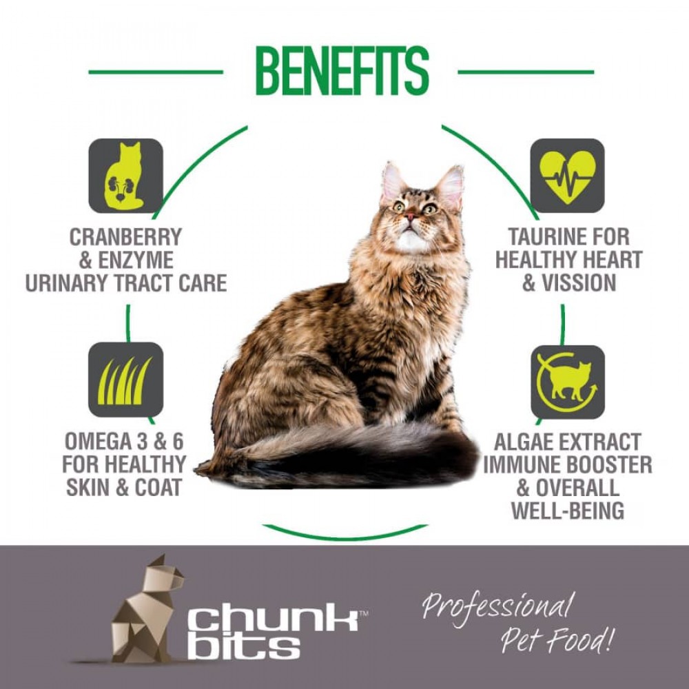 CHUNKBITS CAT 1.5KG HAIR & SKIN 31 CHICKEN & SALMON OIL DRY CAT FOOD image 3
