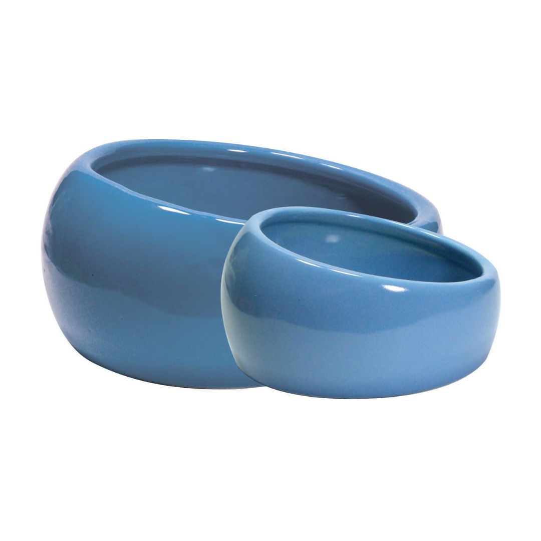 LIVING WORLD ERGONOMIC DISH BLUE SMALL 120ML 3W X 9H CM image 2