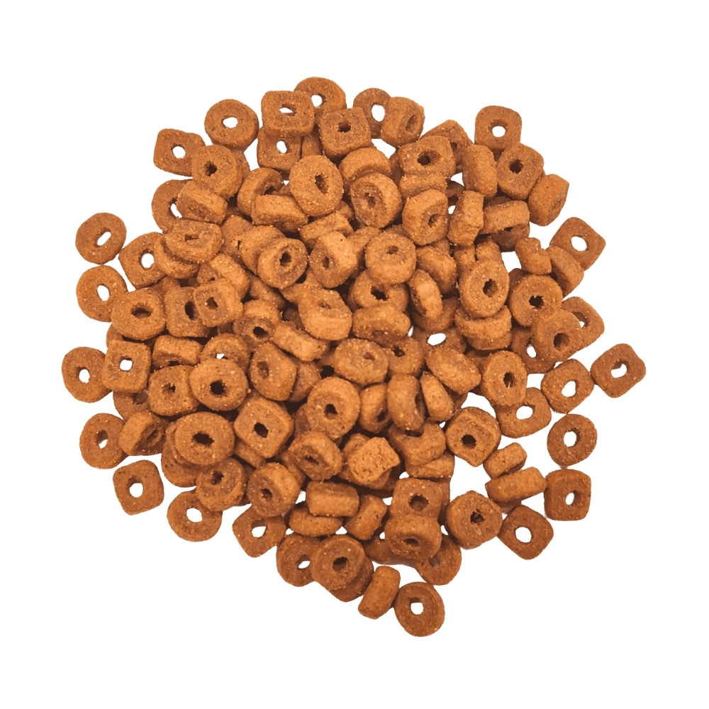 SARAR CAT 2KG ADULT INDOOR CHICKEN AND SALMON DRY CAT FOOD image 3