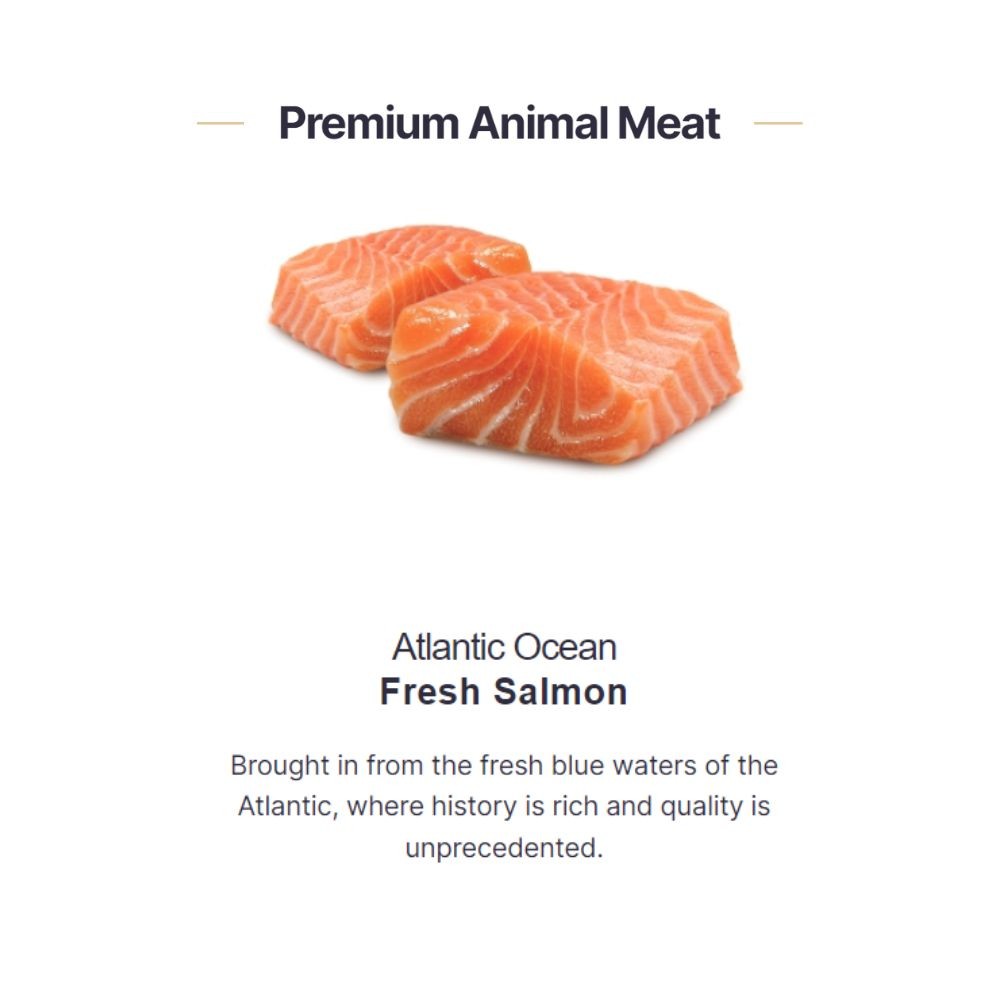 FURVIT CAT CANDY'S NUTRI LICK SALMON 200G (5GX40TUBES) PREMIUM CAT SUPPLEMENT image 3