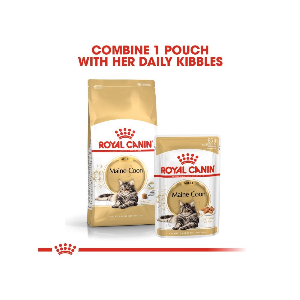 ROYAL CANIN MAINE COON ADULT 10KG DRY CAT FOOD image 8