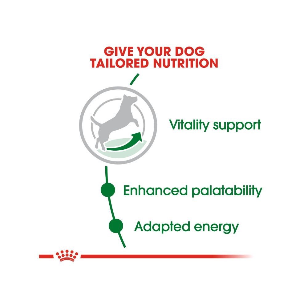 ROYAL CANIN MINI MATURE 8+ 2KG DRY DOG FOOD image 3