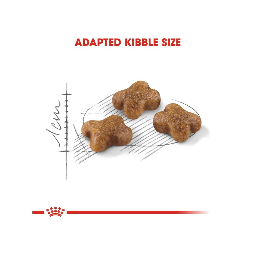 ROYAL CANIN KITTEN 36 4KG DRY CAT FOOD image 3