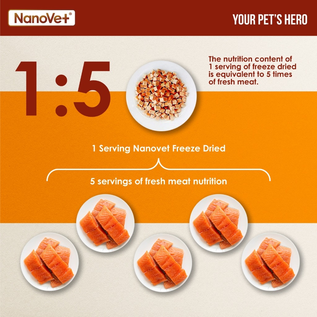 NANOVET FREEZE DRIED SALMON 200G CAT & DOG TREATS image 3