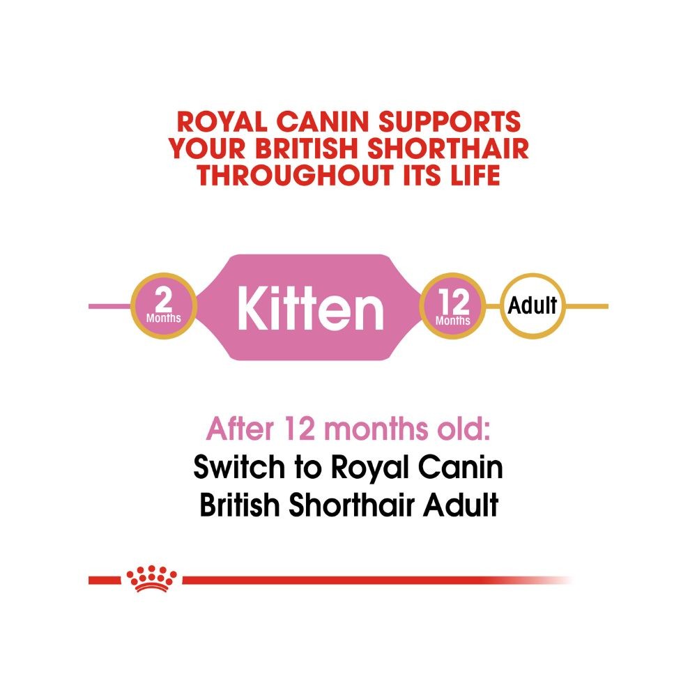 ROYAL CANIN BRITISH SHORTHAIR KITTEN 2KG DRY CAT FOOD image 8
