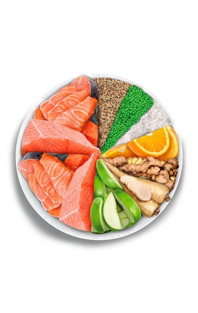 AMANOVA CAT 1.5KG ADULT SALMON DELUXE LOW GRAIN DRY CAT FOOD image 4