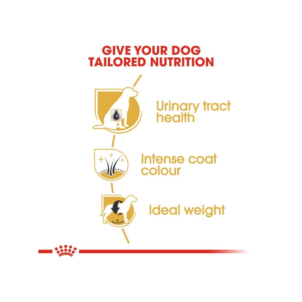ROYAL CANIN MINIATURE SCHNAUZER ADULT 3KG DRY DOG FOOD image 3