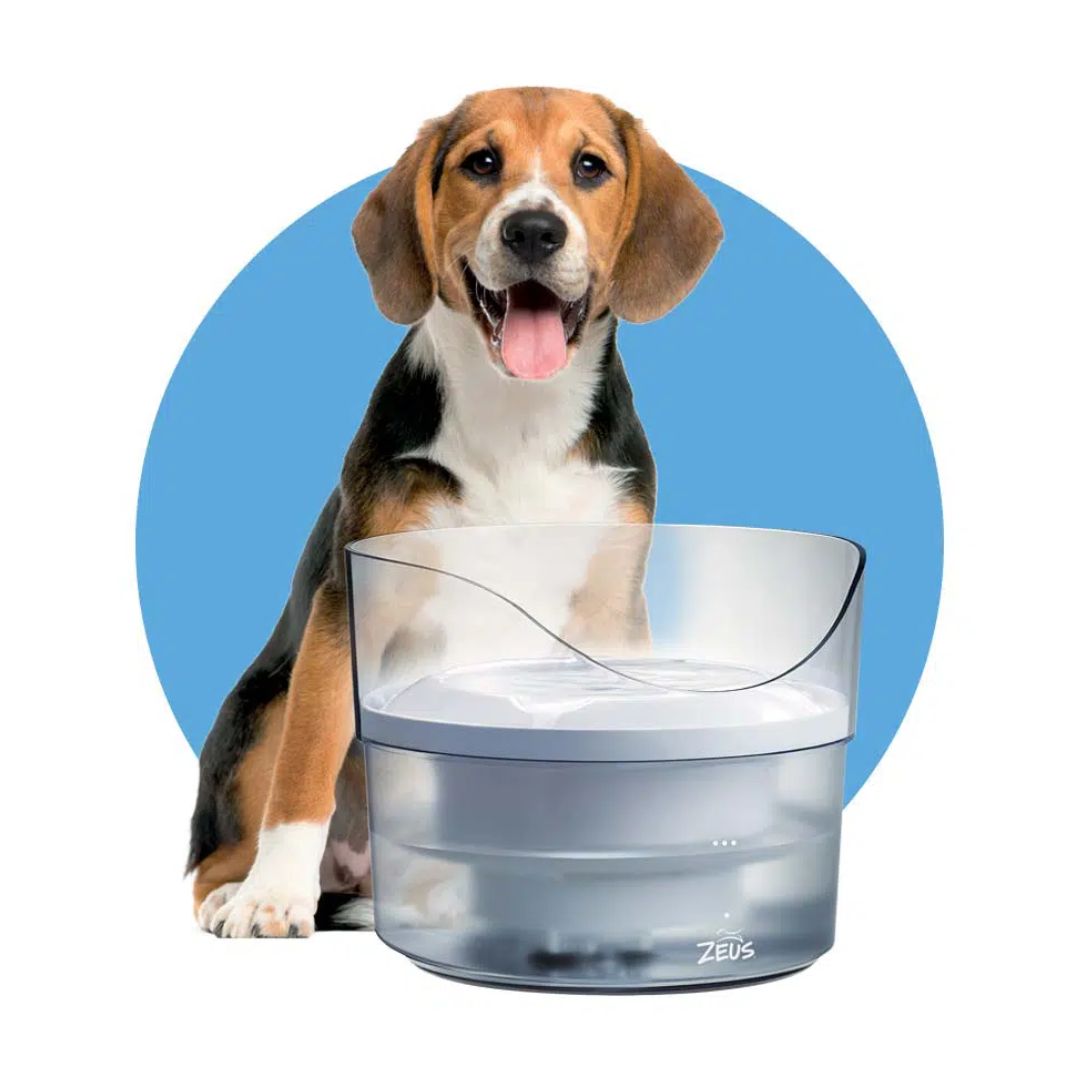 ZEUS FRESH N CLEAR FOUNTAIN 1.5L WITH SPLASH GUARD image 2