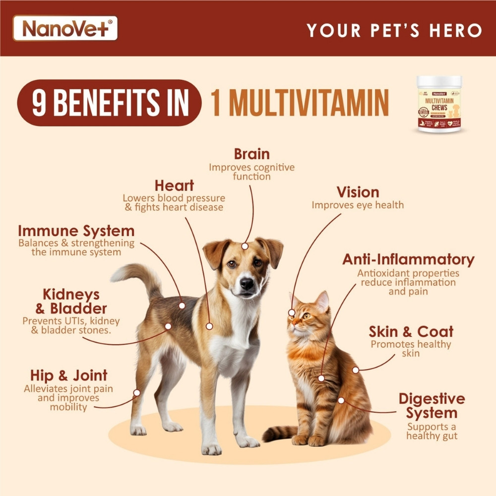 NANOVET MULTIVITAMIN CHEWS 120PCS image 4
