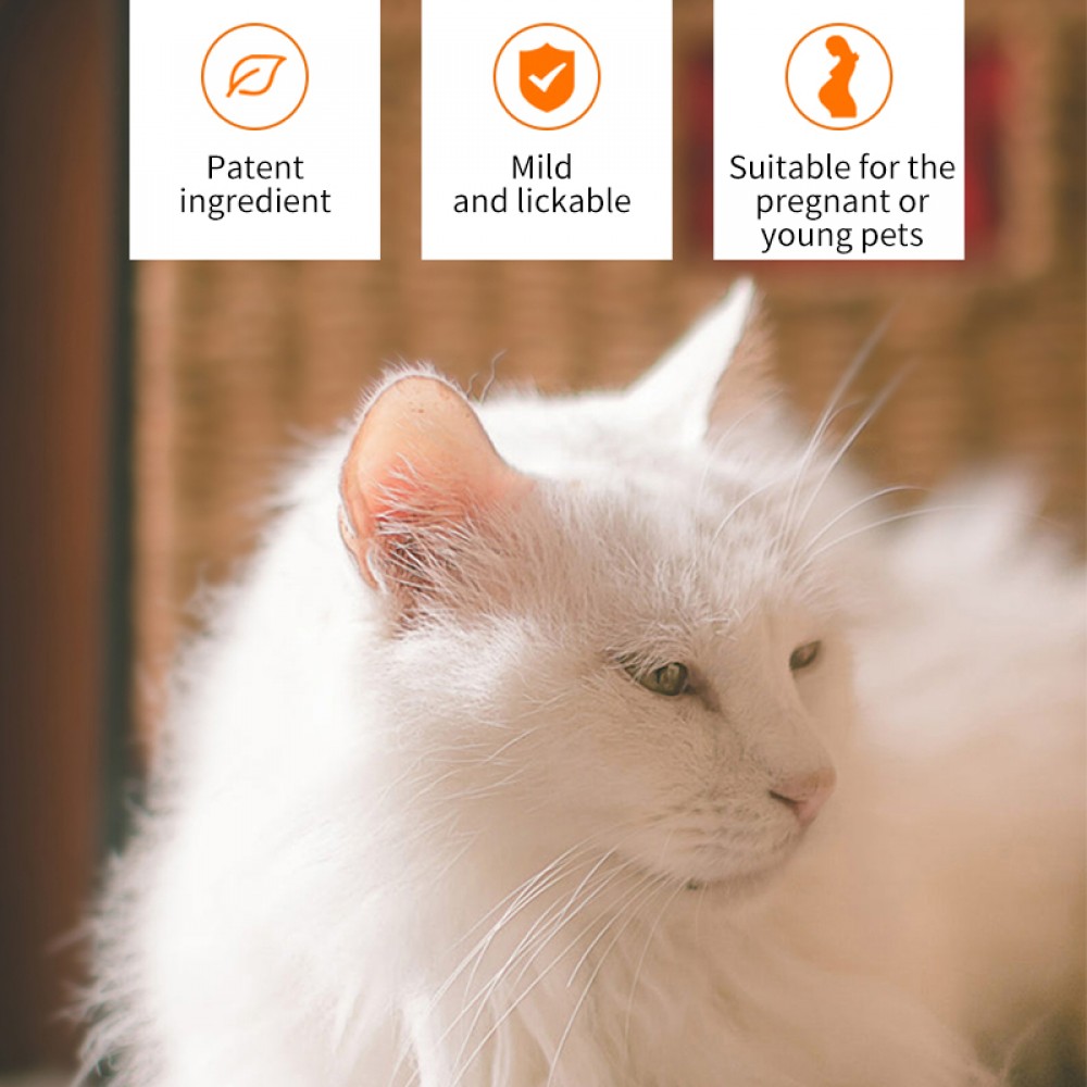 PUAINTA SKIN WOUND SPRAY 30ML image 6