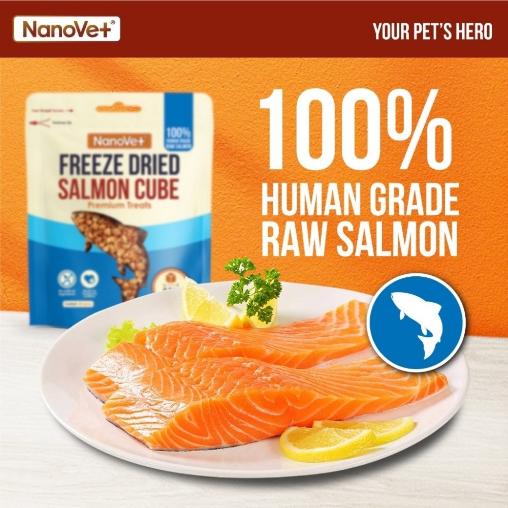 NANOVET FREEZE DRIED SALMON 200G CAT & DOG TREATS image 2