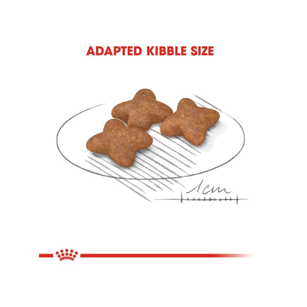 ROYAL CANIN MINI ADULT 8KG DRY DOG FOOD image 3