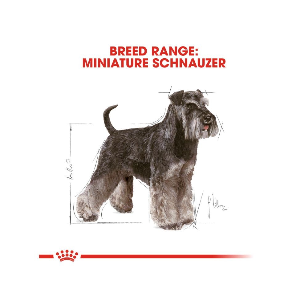 ROYAL CANIN MINIATURE SCHNAUZER ADULT 3KG DRY DOG FOOD image 5