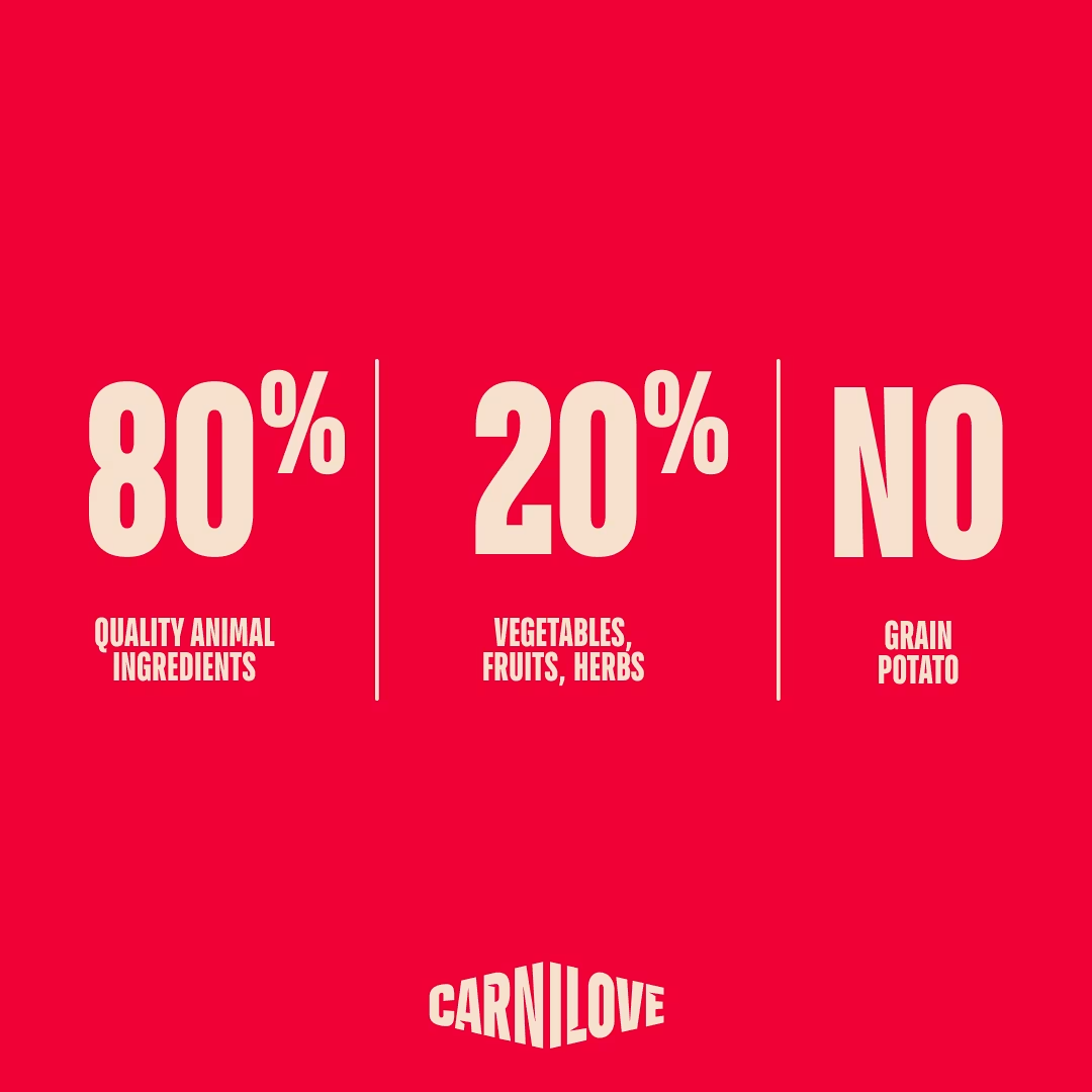 CARNILOVE CAT 6KG SALMON & TURKEY FOR KITTEN DRY CAT FOOD image 6