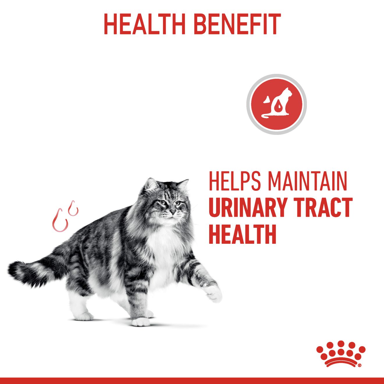 ROYAL CANIN URINARY CARE 10KG DRY CAT FOOD image 5
