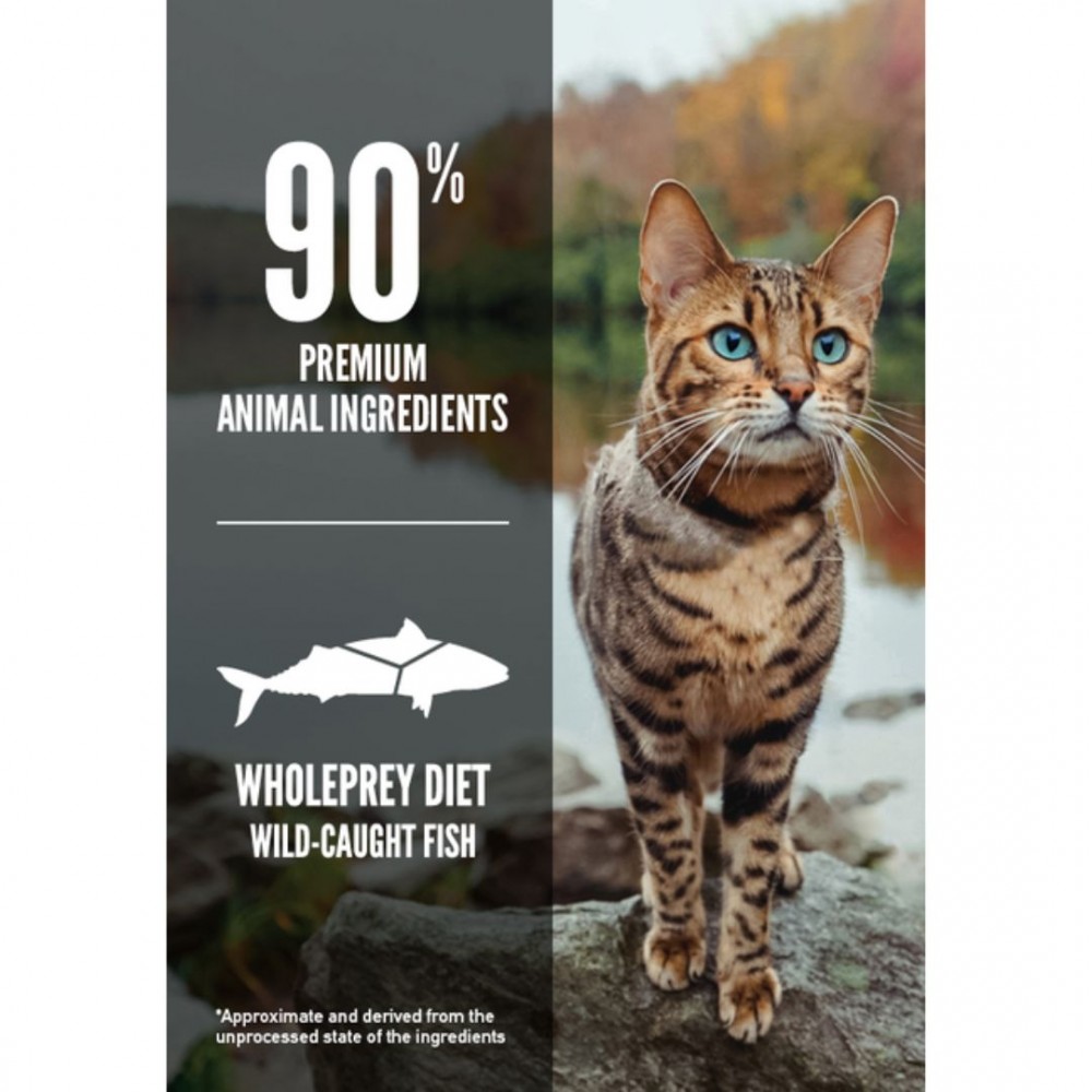 ORIJEN CAT 1.8KG SIX FISH DRY CAT FOOD image 4