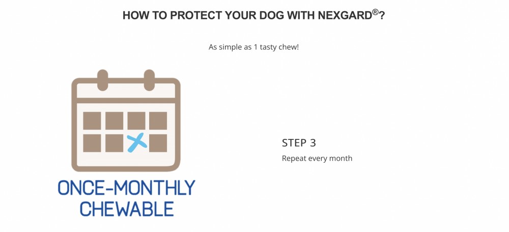 NEXGARD DOG S 6TABS (2KG-4KG) image 4
